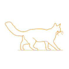 Animals Cats Turkish Angora Cat Engraving Svg Design, Free Vectors File